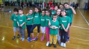 Minivolley 2015/2016