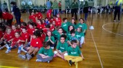 MINIVOLLEY
